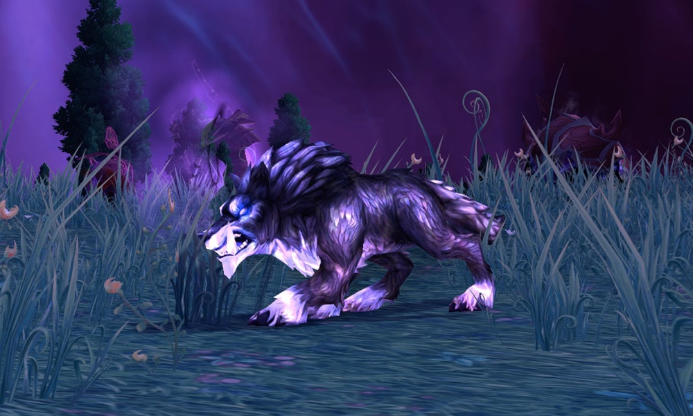 gara_spirit_beast_hunter_pet