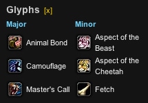 My BM PvP Glyphs at the start of Patch 5.0.4